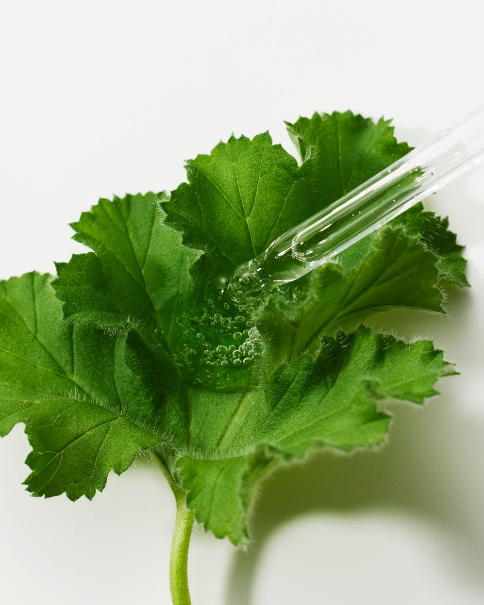 [THE LAB By BLANC DOUX] Green Flavonoid™ 5.0 Serum 30ml